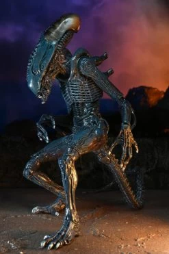 Alien Vs Predator - 7" Action Figure: Arachnoid Alien (Movie Deco) -Trendy Toy Store 34295571 d6ab 41d5 9b56 bacbb4d5e1dc