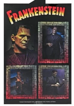 Universal Monsters: 7" Scale Action Figure - Ultimate Frankenstein's Monster (Color) -Trendy Toy Store 4 07946208 f221 4462 97c2 9225133d8274