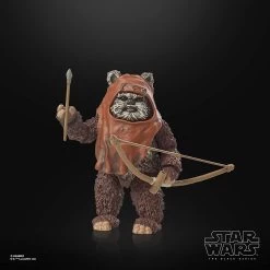 Star Wars Black Series 6" : Return Of The Jedi: 40th Anniversary - Wicket -Trendy Toy Store 61dccCNwUHL. AC SL1500