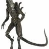 Alien Isolation - 7" Scale Action Figure - Series 6 : Xenomorph -Trendy Toy Store 69a94a7d 5e73 40f7 a22a 90a840a5b3f7