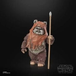 Star Wars Black Series 6" : Return Of The Jedi: 40th Anniversary - Wicket -Trendy Toy Store 71PTDRxfFIL. AC SL1500