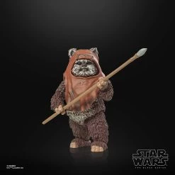 Star Wars Black Series 6" : Return Of The Jedi: 40th Anniversary - Wicket -Trendy Toy Store 71V3bNxXUDL. AC SL1500