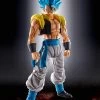 S.H.Figuarts - Dragon Ball Super: Broly - Super Saiyan God Super Saiyan Gogeta -Trendy Toy Store 71mii QipdL. SL1500