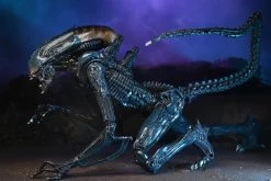 Alien Vs Predator - 7" Action Figure: Arachnoid Alien (Movie Deco) -Trendy Toy Store cb2ad923 5ebb 4464 9ce1 670f83450457