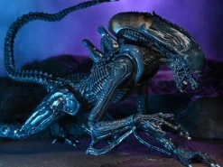 Alien Vs Predator - 7" Action Figure: Arachnoid Alien (Movie Deco) -Trendy Toy Store f8060393 96a9 447d 9710 bb5430057b23