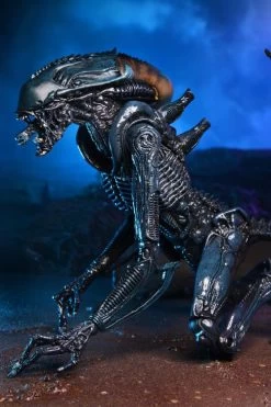 Alien Vs Predator - 7" Action Figure: Arachnoid Alien (Movie Deco) -Trendy Toy Store f862d824 e121 4f59 b85e 651810a1b542