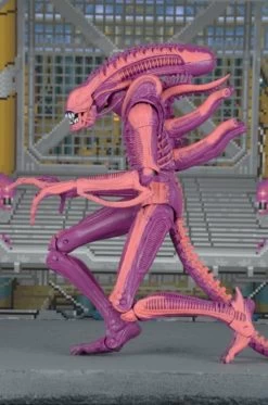 Aliens - 7" Scale Action Figure : Aliens Xenomorph Warrior (Arcade Appearance) -Trendy Toy Store unnamed 3 ec1a8258 ab80 4df7 b02e 0e3a6d02f095