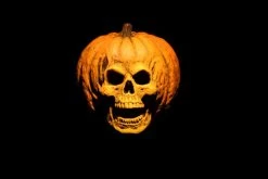 Halloween 2: 8" Scale Clothed Figure - Doctor Loomis & Laurie Strode 2-Pack 13 Halloween 2: 8" Scale Clothed Figure - Doctor Loomis & Laurie Strode 2-Pack -Trendy Toy Store unnamed 5 cf793093 0d51 4173 a1b5 04314941d56b