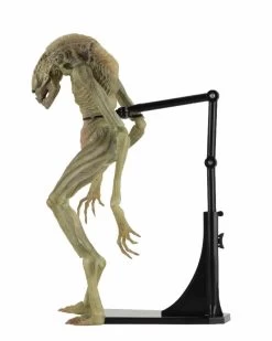 Alien Resurrection - 7" Scale Figure: Deluxe Newborn -Trendy Toy Store unnamed 7 0928c118 1560 4e0e b086 7fcc9a8b3381